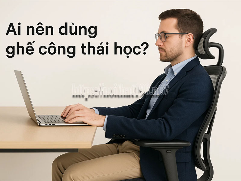 Ai nên dùng ghế công thái học