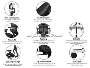 Các bộ phận của ghế công thái học