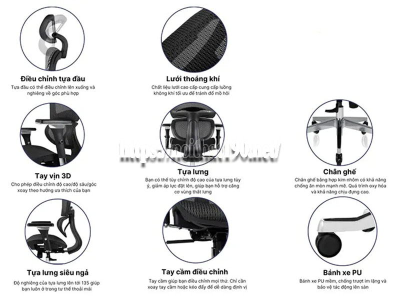 Các bộ phận của ghế công thái học