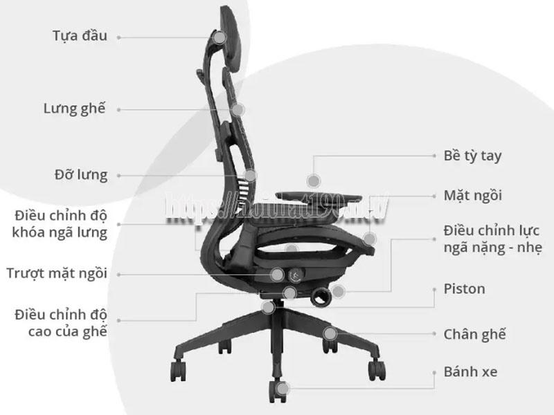 Cấu tạo ghế công thái học gồm những gì