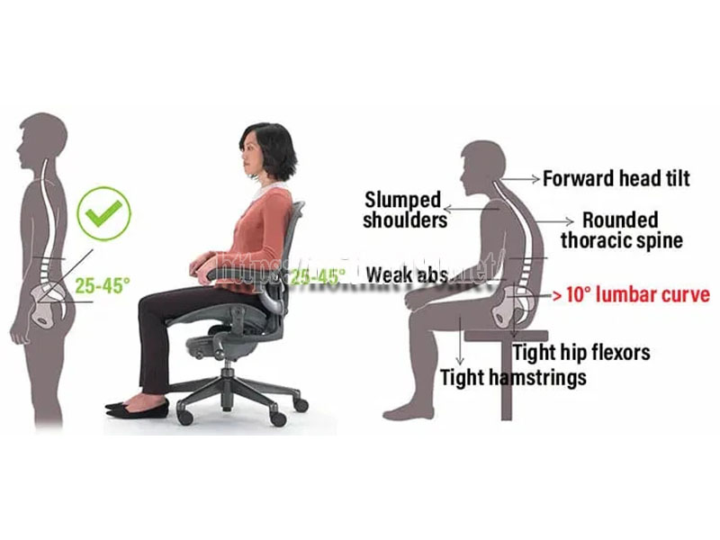 Lợi ích ghế Ergonomic với cột sống