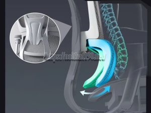 Tác dụng của ghế công thái học