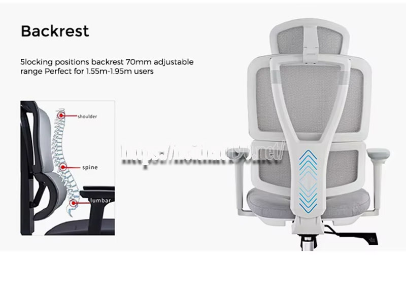 Ghế công thái học có giúp giảm đau lưng không