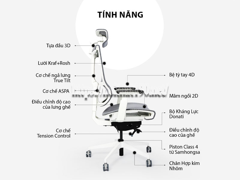 Công dụng của ghế công thái học