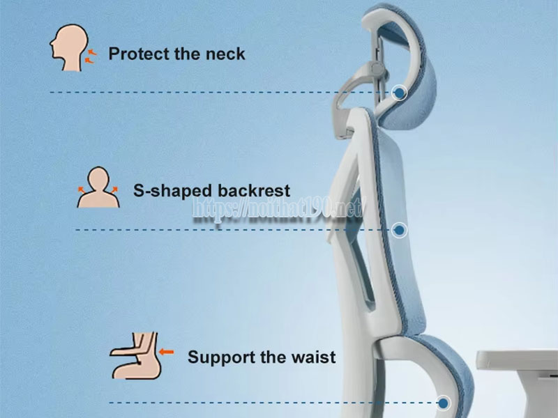 Cơ chế giảm đau lưng của ghế Ergonomic