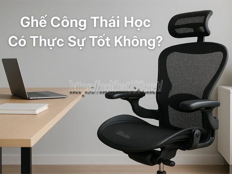 Ghế công thái học có thực sự tốt không