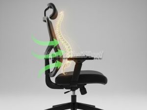 Tác dụng của ghế công thái học với đĩa đệm