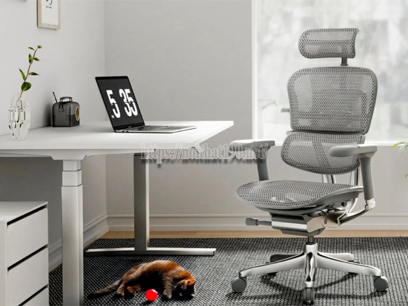 Lợi ích khi mua ghế văn phòng cao cấp