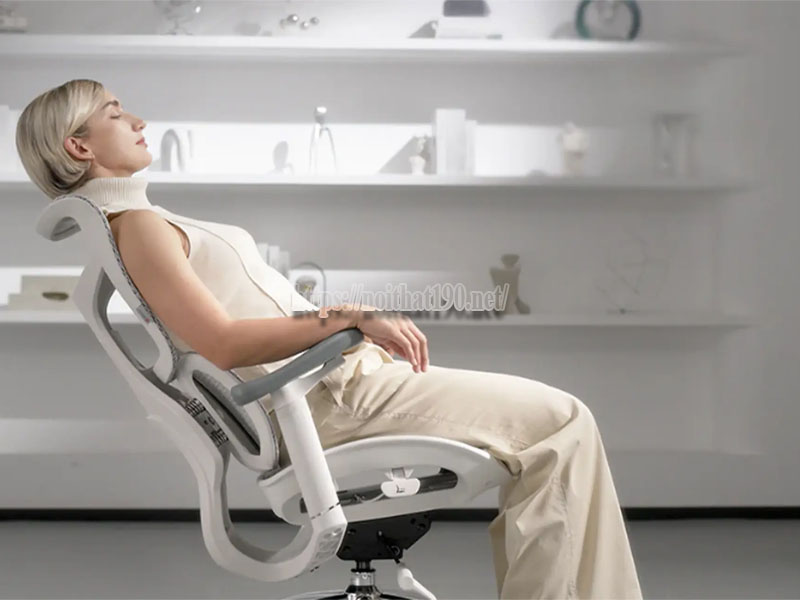 Lý do nên mua ghế công thái học