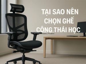 Tại sao nên chọn ghế công thái học