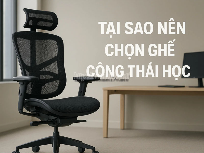 Tại sao nên chọn ghế công thái học