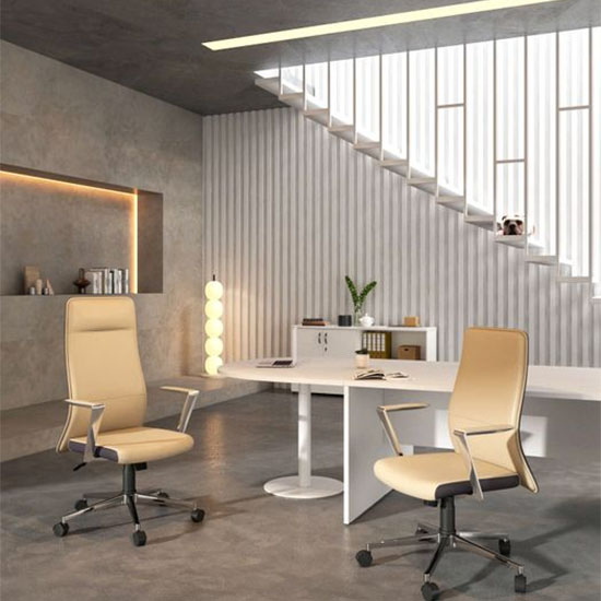 Ghế lãnh đạo lưng cao GX253B