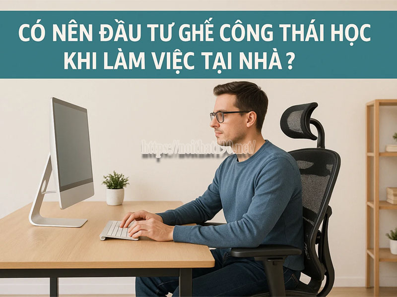 Có nên đầu tư ghế công thái học khi làm việc tại nhà