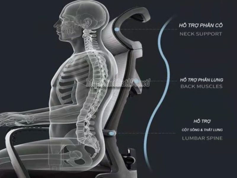 Ghế công thái học 190 và sức khỏe dài hạn