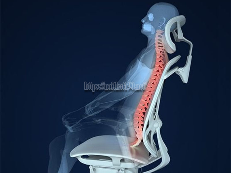 Cơ chế ghế công thái học hỗ trợ cột sống