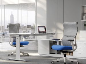 ghế ergonomic nhập khẩu chính hãng