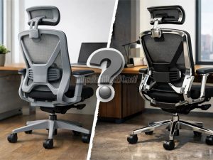 nên chọn ghế ergonomic khung nhựa hay kim loại