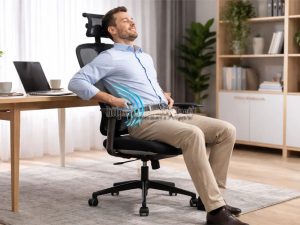 ghế ergonomic nào tốt cho cột sống thắt lưng