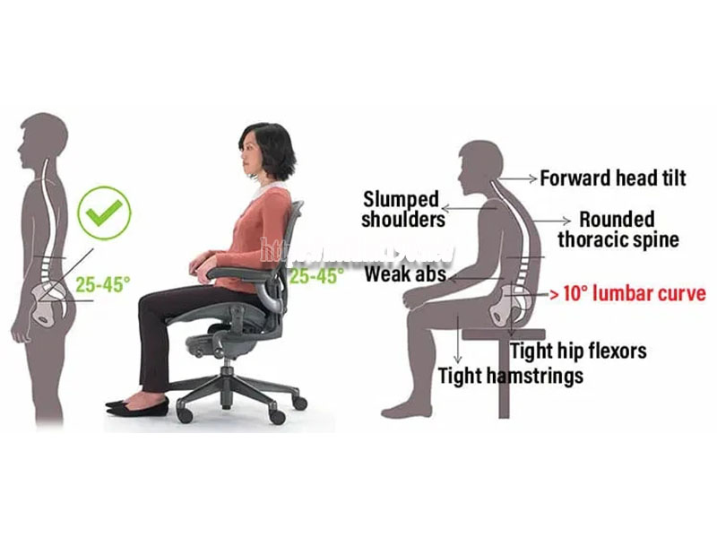 Ghế Ergonomic có cần thiết cho dân văn phòng không
