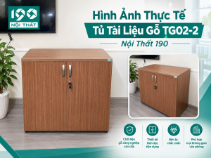 Bộ Ảnh Thực Tế Tủ Tài Liệu Gỗ TG02-2 Nội Thất 190