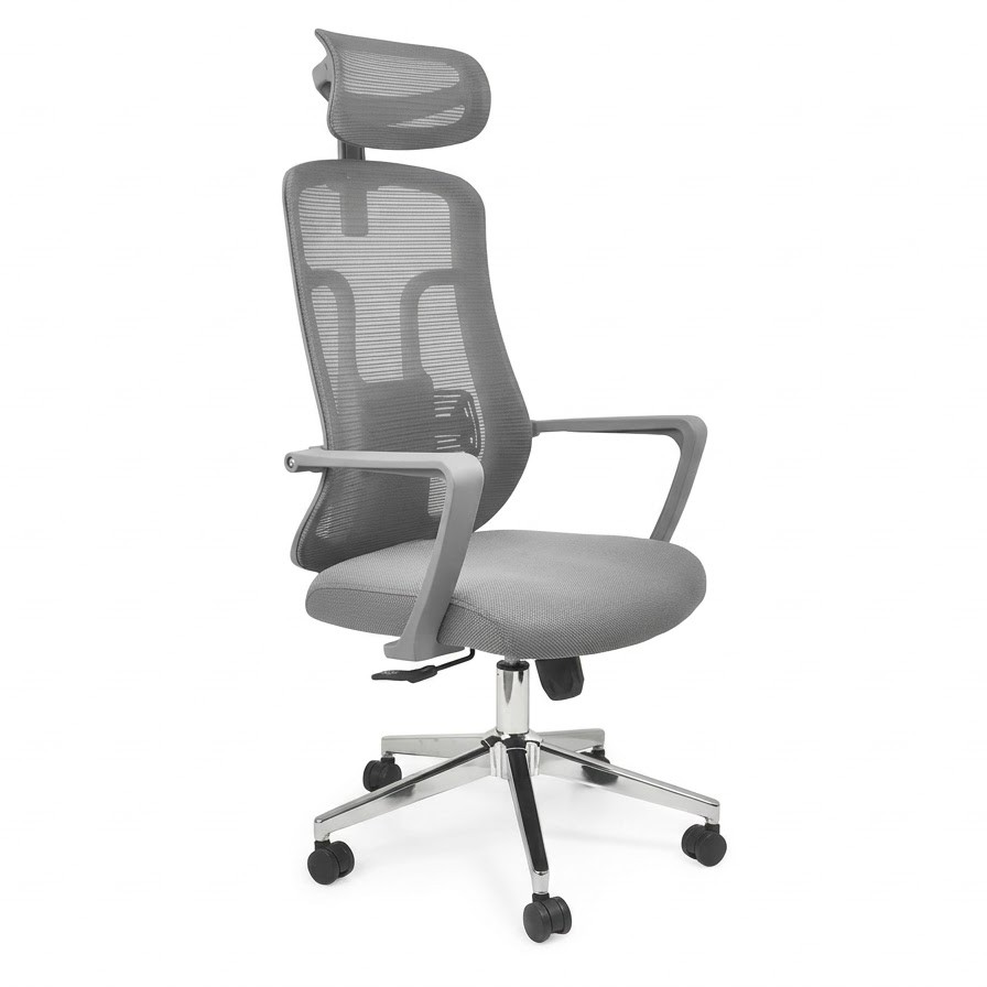 Ghế lưới công thái học GX271G